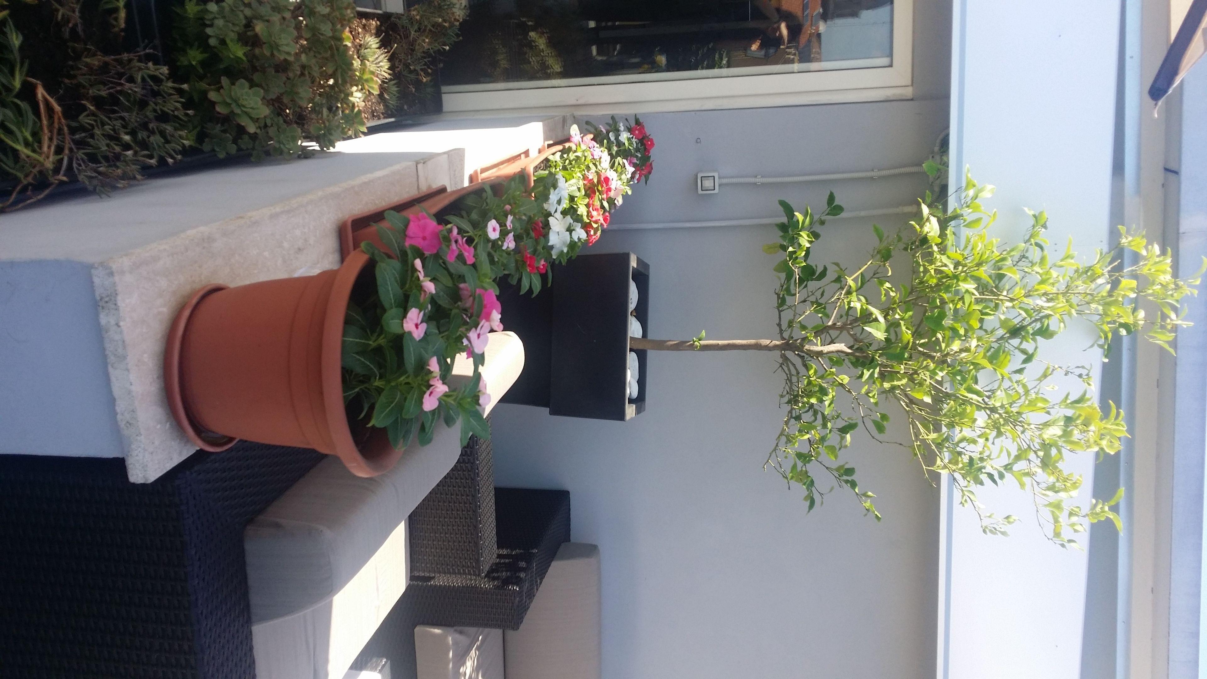 Hotel Gravina San Pietro — Photos 3